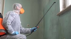 Best Mold Remediation for Healthcare Facilities  in Deltona, FL