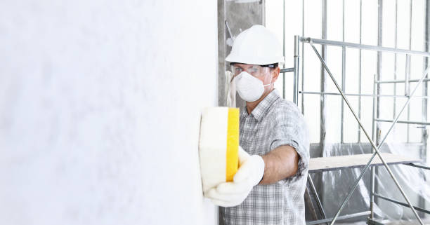 Best Commercial Mold Inspection  in Deltona, FL