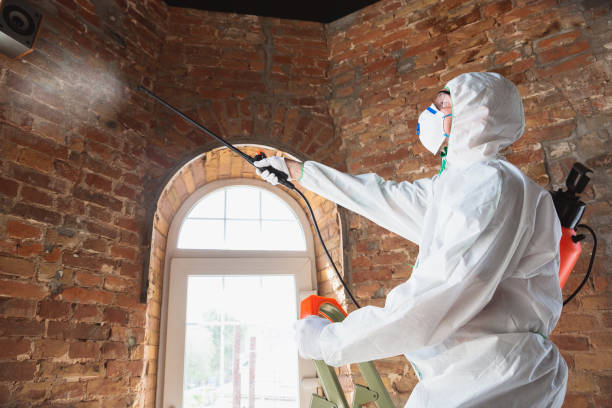 Forensic Mold Investigation in Deltona, FL