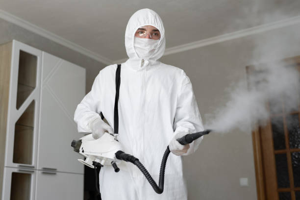 Biohazard Mold Removal in Deltona, FL