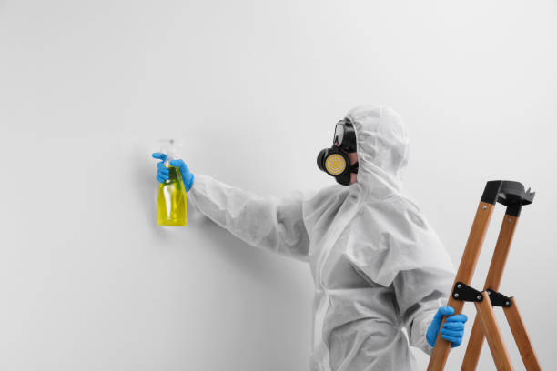 Deltona, FL Mold Inspection Company